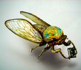 Fire Opal Cicada by Wallace Chan
