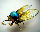 Black Opal Cicada by Wallace Chan